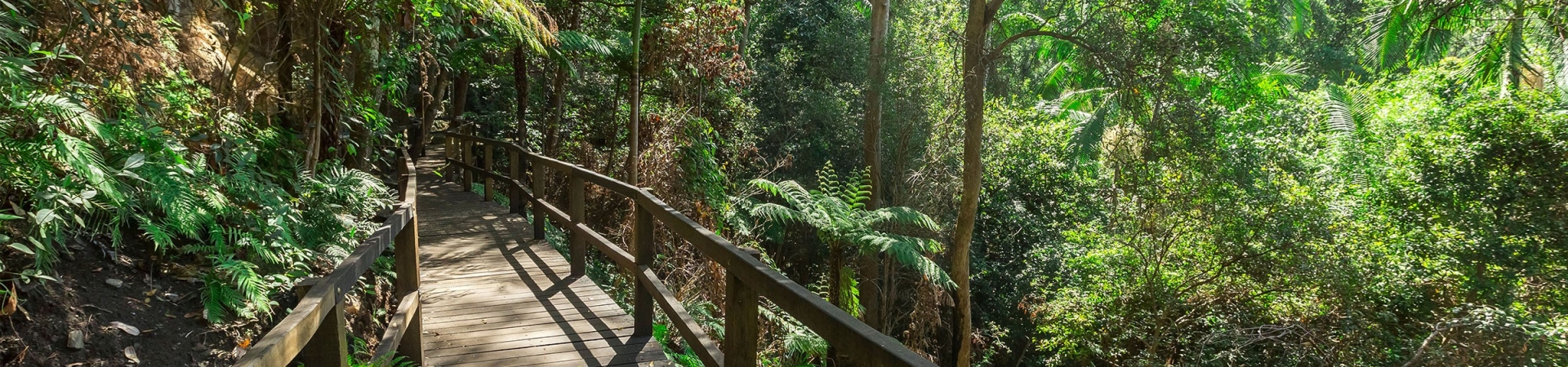 Gateway to Cania Gorge Nation Park – Board walk to Dripping Rock