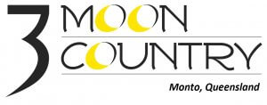 Monto Magic & Tourism Action Group Meeting @ Monto Railway Precinct Office | Monto | Queensland | Australia