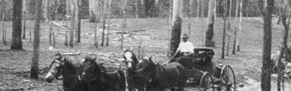 Les Hampson travels through Cania Gorge while returning from Coolangatta to his property Nestorvale in 1926 – Photo Credit Beryl Bleys