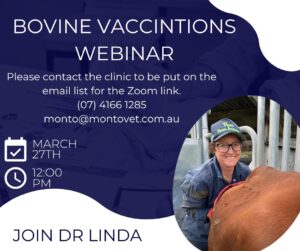 Bovine vaccinations Webinar